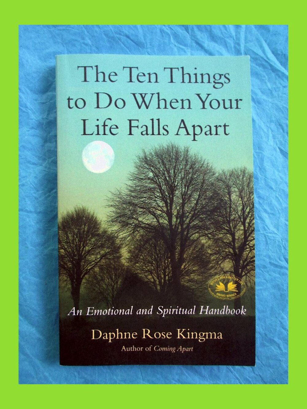 Ten Things to Do When Your Life Falls Apart: An Emotional & Spiritual Handbook
